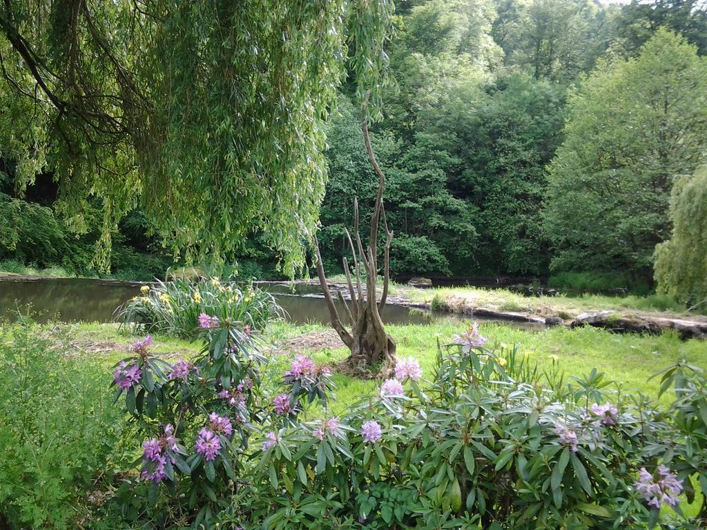Le Moulin L'eveque Campeaux